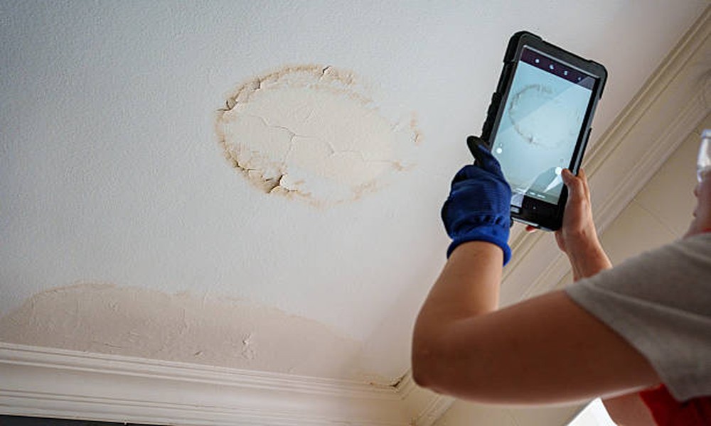 Understanding Mold Inspection and Air Quality Testing Services