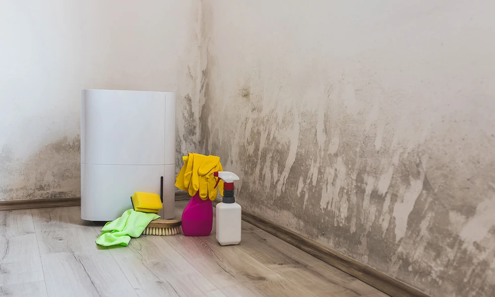 What Happens to a Flooded Room Between Hour One and Dry?